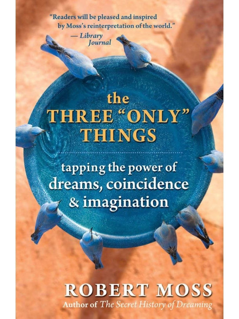 The Three Only Things: Tapping the Power of Dreams, Coincidence & Imagination