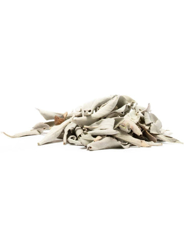 White Sage - Loose/Clusters - 2 Sizes