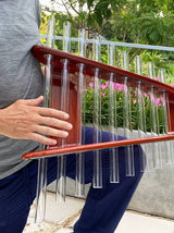 Glassophone Veena Crystal - mmg1