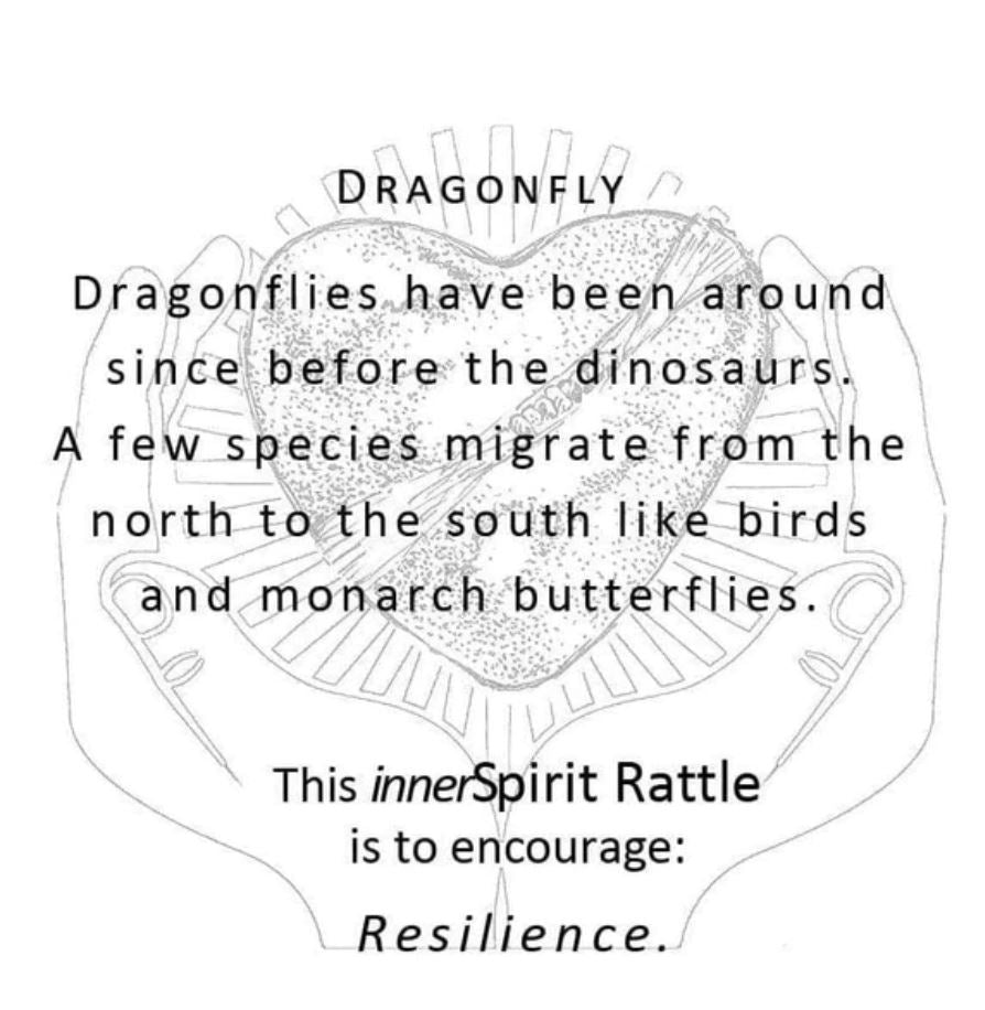 mmr041-Dragonfly