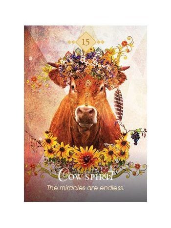 The Spirit Animal Oracle: A 68-Card Deck and Guidebook Cards by Colette Baron Reid | dc27