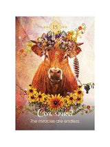 The Spirit Animal Oracle: A 68-Card Deck and Guidebook Cards by Colette Baron Reid | dc27