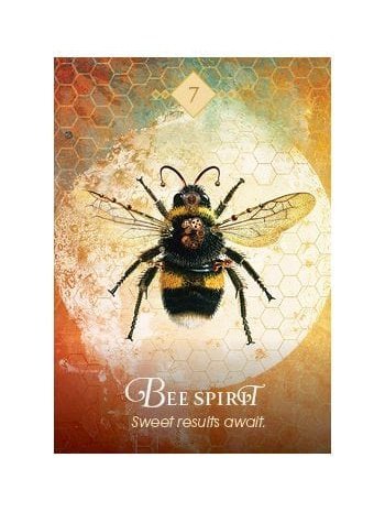 The Spirit Animal Oracle: A 68-Card Deck and Guidebook Cards by Colette Baron Reid | dc27
