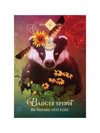 The Spirit Animal Oracle: A 68-Card Deck and Guidebook Cards by