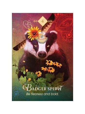 The Spirit Animal Oracle: A 68-Card Deck and Guidebook Cards by Colette Baron Reid | dc27