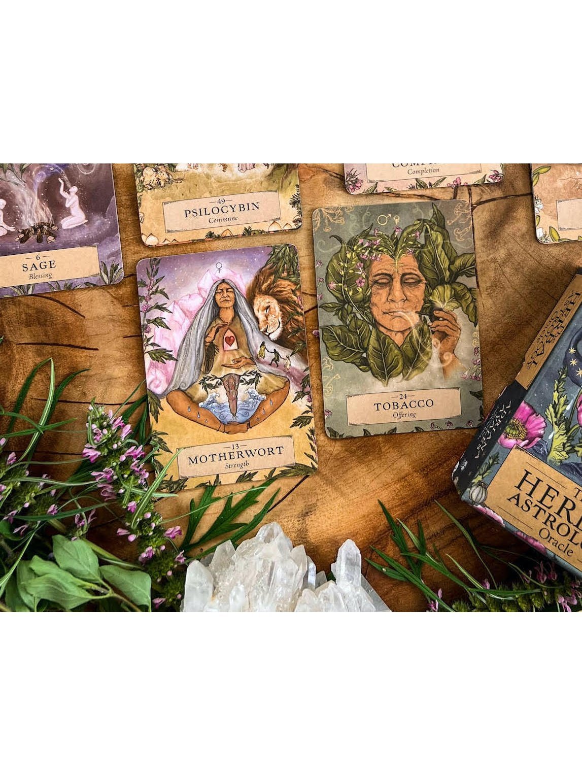 The Herbal Astrology Oracle Deck | dc36 | dc44