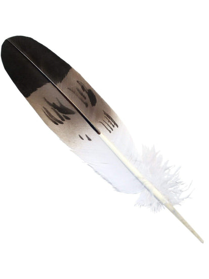 Painted Feather Feather - Imitation Golden Eagle Semi Mature - Tail
