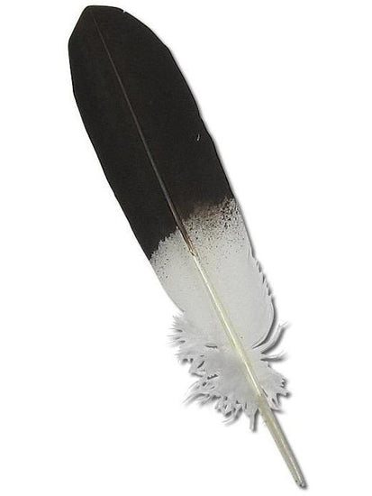 Painted Feathers Feather - Imitation Bald Eagle - Wing
