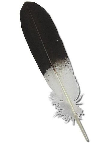 Feather - Imitation Bald Eagle - Wing