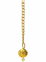 Coil Pendulum