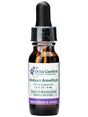 Peruvian Gem & Flower Essence - Andean Amethyst