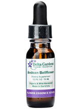 Peruvian Gem & Flower Essence - Andean Bellflower