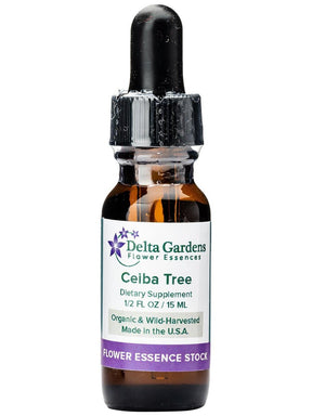 Peruvian Gem & Flower Essence - Ceiba Tree