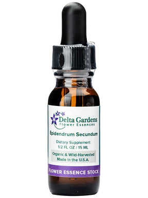 Peruvian Gem & Flower Essence - Epidendrum Secundum