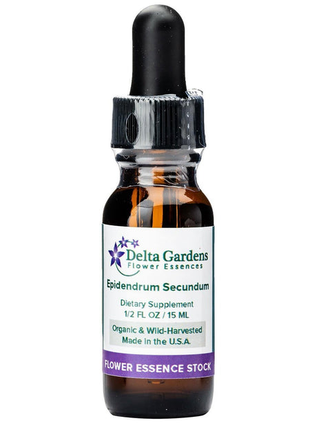 Peruvian Gem & Flower Essence - Epidendrum Secundum