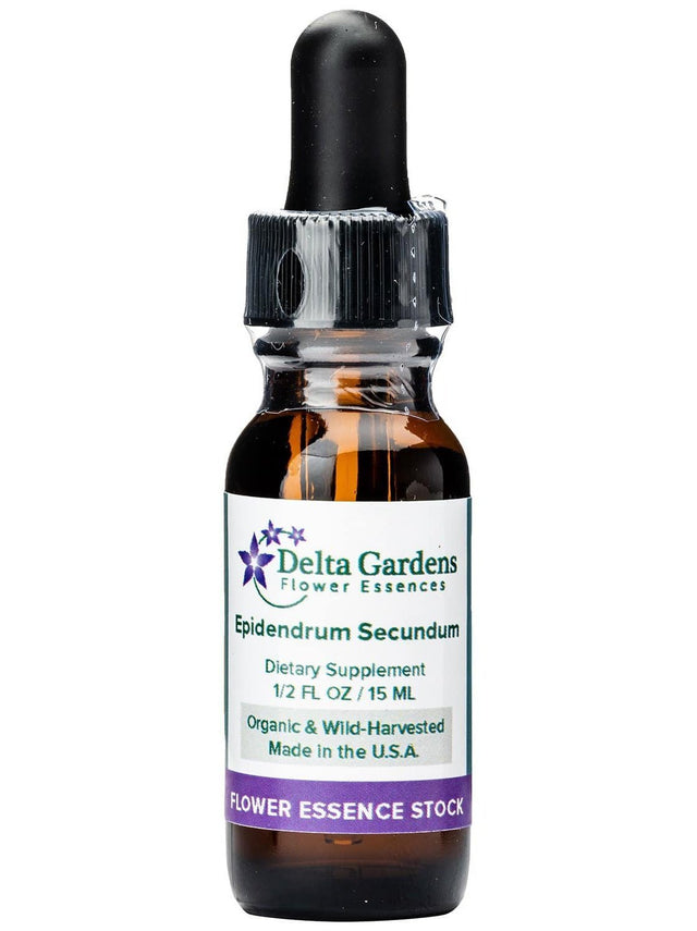 Peruvian Gem & Flower Essence - Epidendrum Secundum