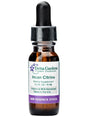 Peruvian Gem & Flower Essence - Incan Citrine