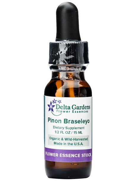 Peruvian Gem & Flower Essence - Piñon Braseleyo