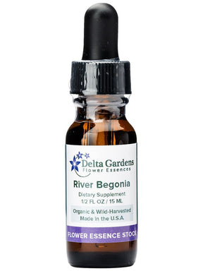 Peruvian Gem & Flower Essence - River Begonia