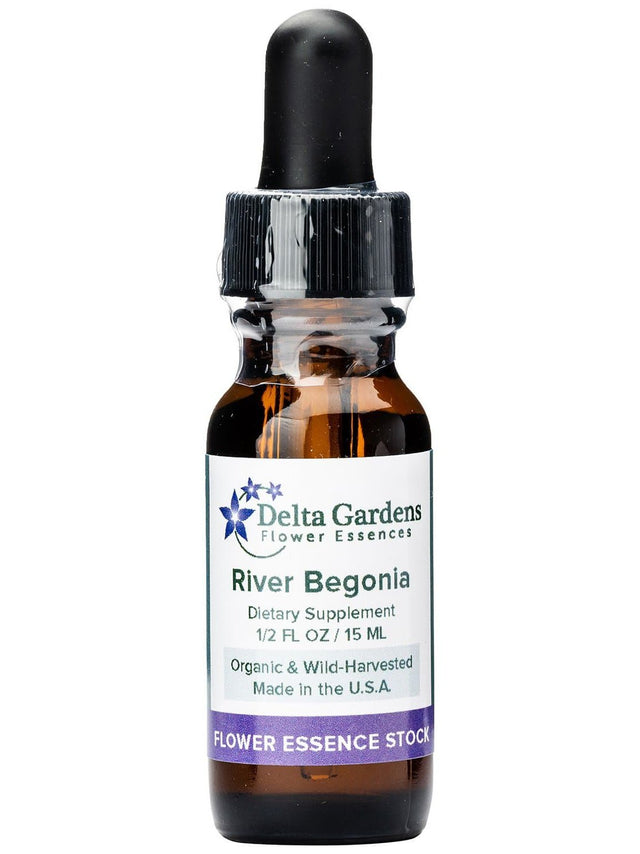 Peruvian Gem & Flower Essence - River Begonia