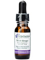 Peruvian Gem & Flower Essence - Torch Ginger
