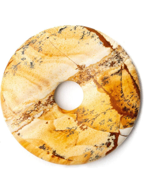 Pi Stone - Picture Jasper 1 | pi016