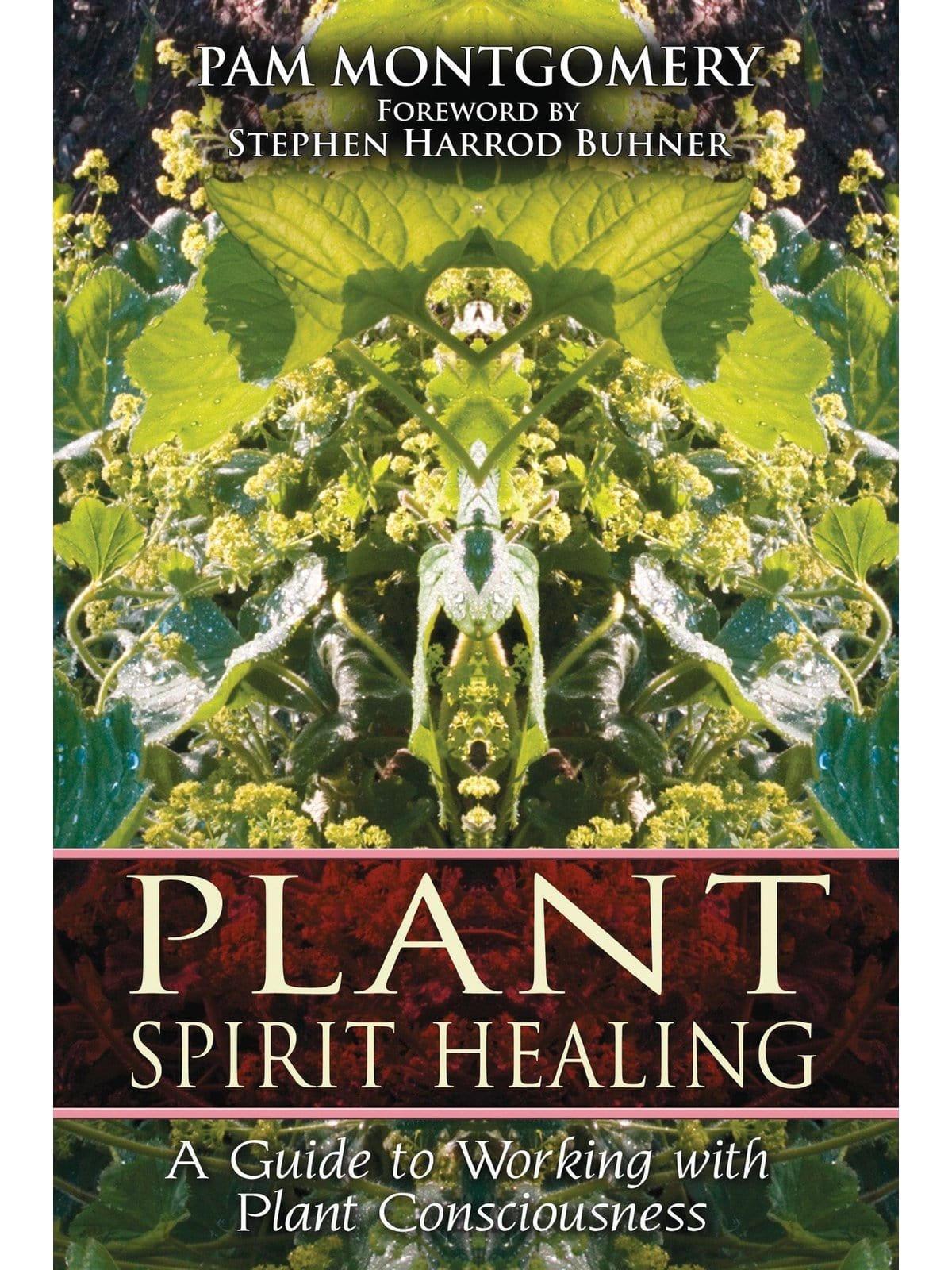 Plant Medicine Books Plant Spirit Healing: A Guide to Working with Plant Consciousness - Pam Montgomery