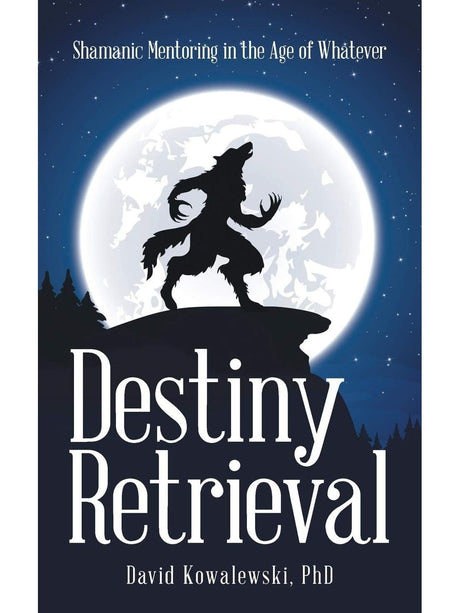 Shamanism Books Destiny Retrieval: Shamanic Mentoring in the Age of Whatever by David Kowalewski