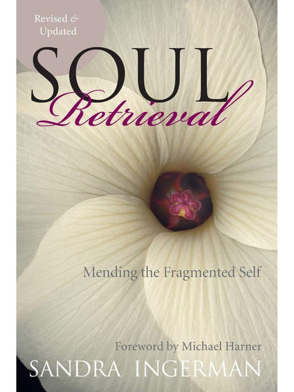 Shamanism Books Soul Retrieval: Mending the Fragmented Self - Sandra Ingerman