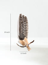 Sacred Prayer Feather Fan with Quartz | si0519-Narrow-Beige