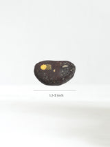 Set of Peruvian Meteorite Khuya Stones