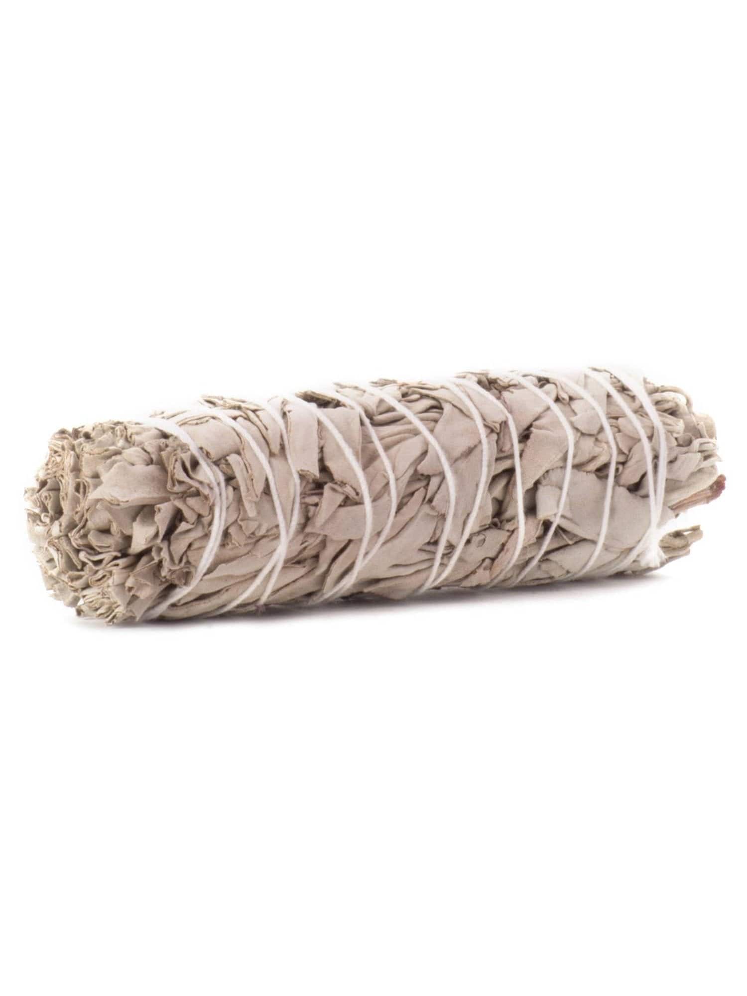 White Sage Smudge Stick - 5 in - BULK | smg20b | Shamans Market