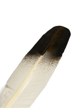 Feather - Imitation Immature Golden Eagle - Tail