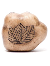 Stone Carving Andean Symbology Nusta Karpay Carving