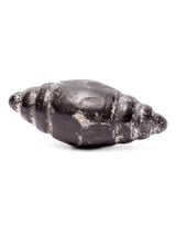 Stone Carvings Meteorite Chumpi Stone Set - 12 Piece - Large