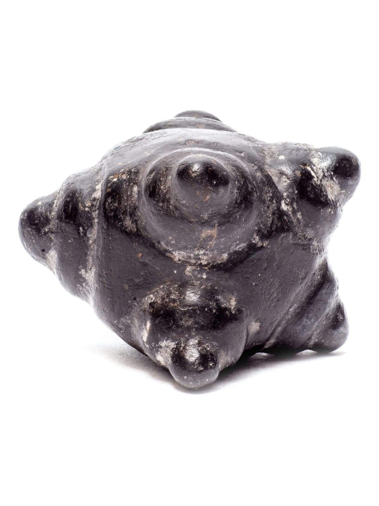 Stone Carvings Meteorite Chumpi Stone Set - 12 Piece - Large