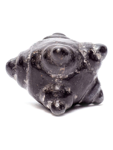 Stone Carvings Meteorite Chumpi Stone Set - 12 Piece - Large