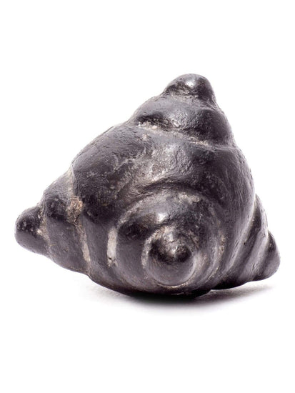 Stone Carvings Meteorite Chumpi Stone Set - 12 Piece - Large