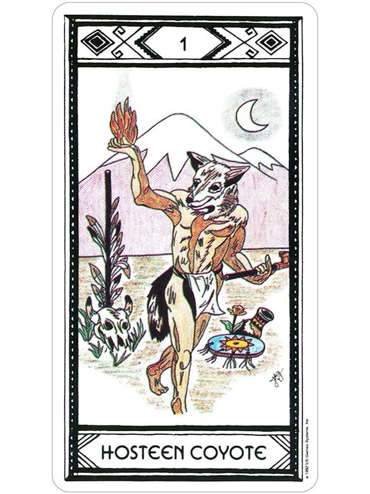 【超希少・正規品】The New American Tarot Deck The Asian American Tarot — mimi khúc