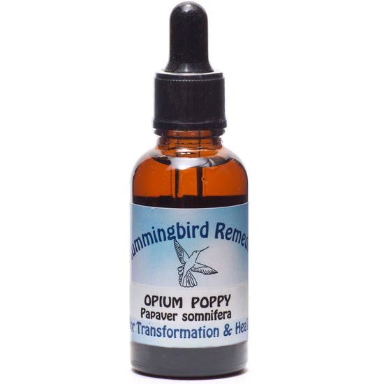 Vibrational Remedy Ceremonial Vibrational Plant Essence: Opium Poppy